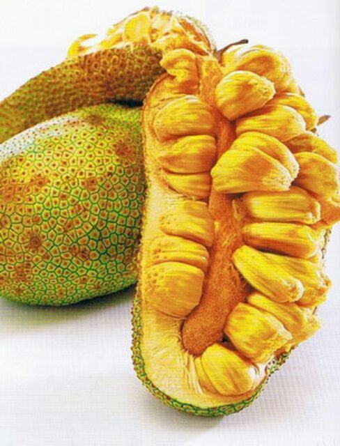 Cempedak, Buah Eksotis Yang Tidak Kalah Dari Durian