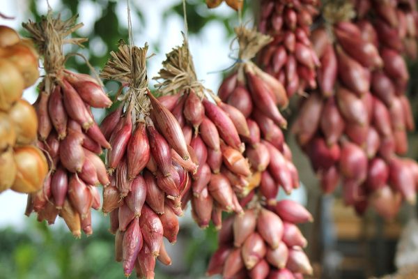 Ragam Saus Penyerta untuk Roti Tawar Homemade